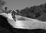 Spring Sunshine with Roost DH
