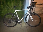 Giant tcx2