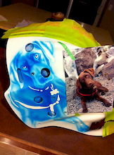 Dog Portrait Goalie Mask