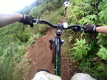 An awesome steep trail outside of Honolulu
