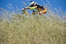 Video: Sea Otter DH - Sea Otter 2013